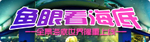鱼眼看海底