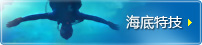 海底特技