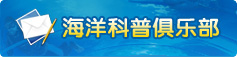 右下角（下）