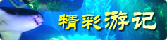 精彩游记