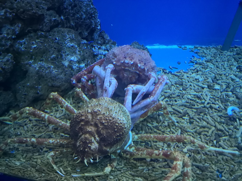 IMG_20181114_215451.jpg