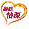 “擦亮旅游服务窗口，文明迎奥从我做起”