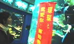 情人节青岛小伙“海底求婚”                        