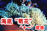 青岛海底世界