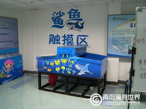 海洋课堂
