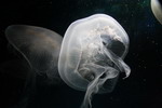宇宙之镜