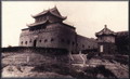 “我与青岛水族馆”大型征集活动盛大开场