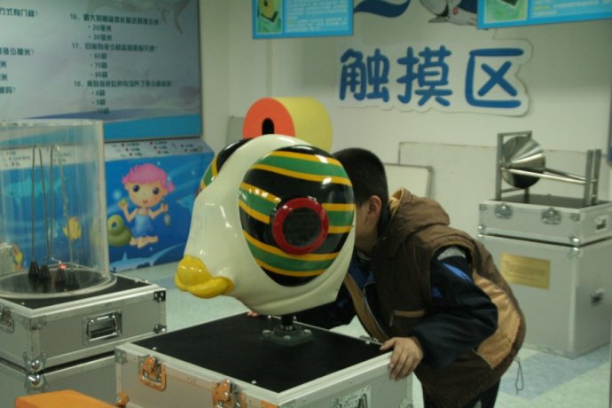 鱼眼看世界  海底真奇妙
